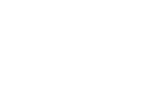 Cynthia Cooper Spigel logo